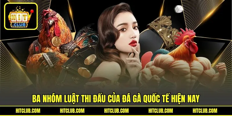 Ba nhóm luật thi đấu của đá gà quốc tế hiện nay Ba nhóm luật thi đấu của đá gà quốc tế hiện nay