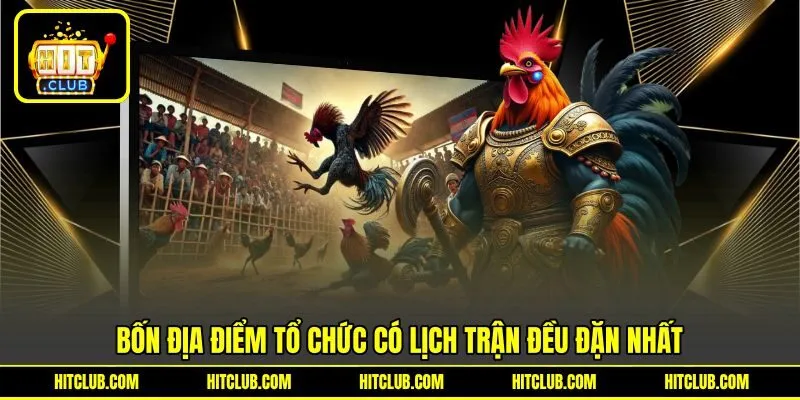 Bốn địa điểm tổ chức có lịch trận đều đặn nhất Bốn địa điểm tổ chức có lịch trận đều đặn nhất