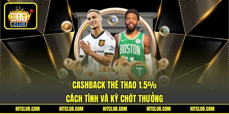 Cashback Thể Thao 1.5% - Cách Tính Và Kỳ Chốt Thưởng