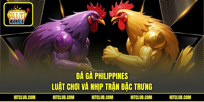 Đá Gà Philippines - Luật Chơi Và Nhịp Trận Đặc Trưng