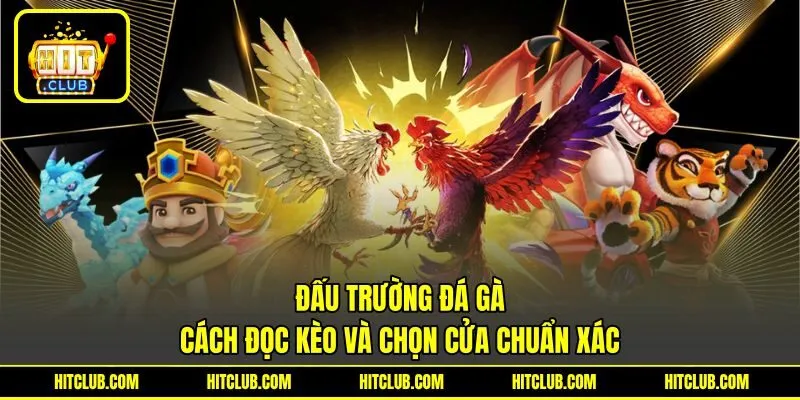 Đấu Trường Đá Gà - Cách Đọc Kèo Và Chọn Cửa Chuẩn Xác