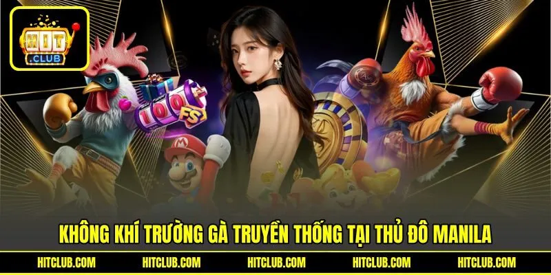 Không khí trường gà truyền thống tại thủ đô Manila