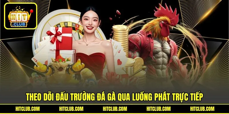 Theo dõi đấu trường đá gà qua luồng phát trực tiếp Theo dõi đấu trường đá gà qua luồng phát trực tiếp