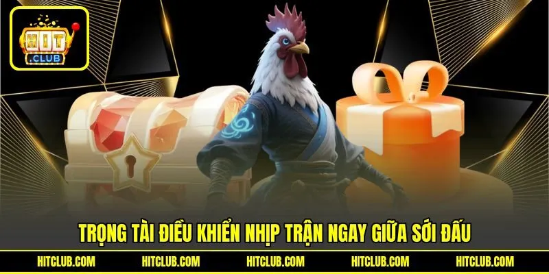 Trọng tài điều khiển nhịp trận ngay giữa sới đấu